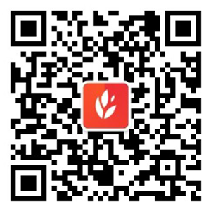 爱游戏足球官网